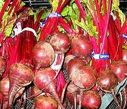 甜菜塊根.jpg