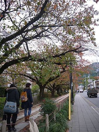 P1040332.JPG