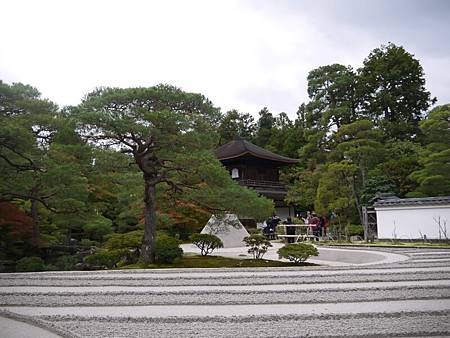 P1040347.JPG