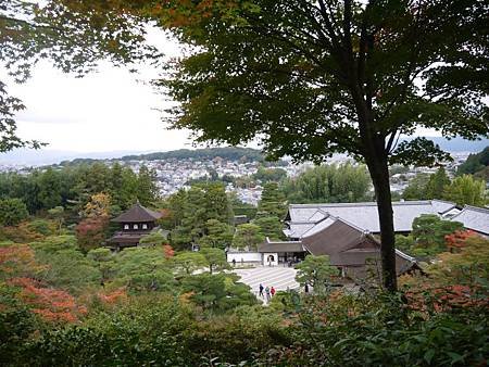 P1040362.JPG