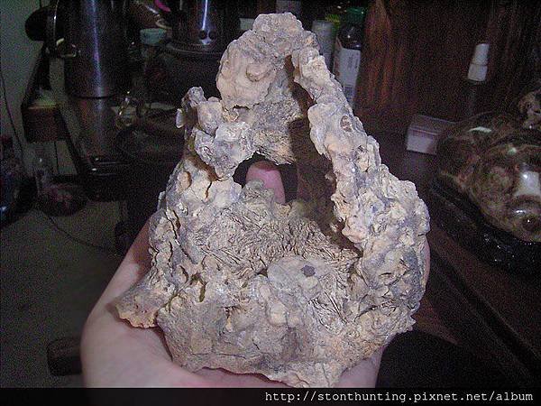 竹東-火山毛(Sagenite)G9417-1.jpg