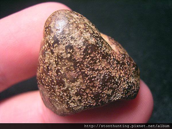 大漢溪鐵丸石G25788.jpg