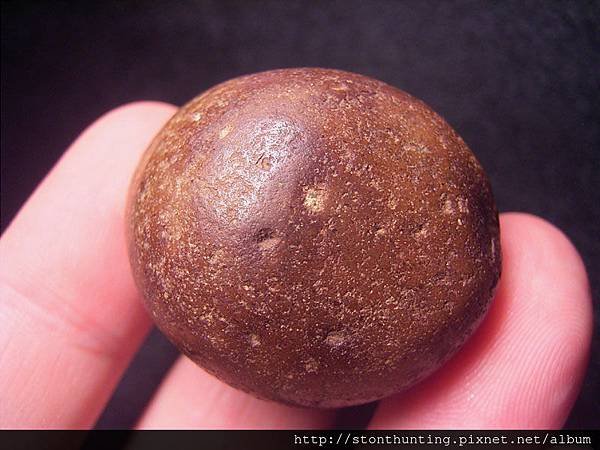 大漢溪鐵丸石G25795.jpg