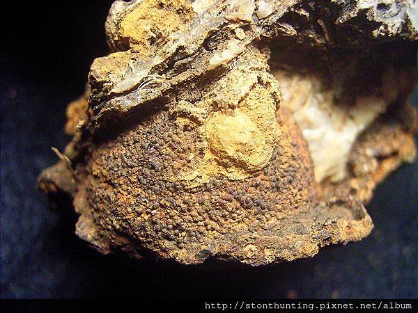 Sagenite(火山茅玉髓)G31457.jpg
