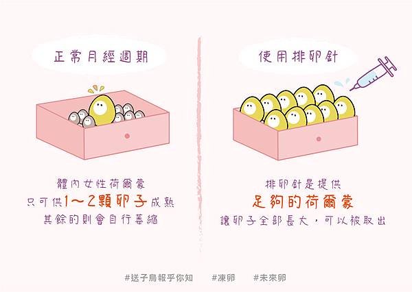 200507我需要凍卵嗎歸檔_14555.jpg