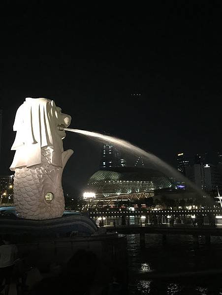 55.JPG