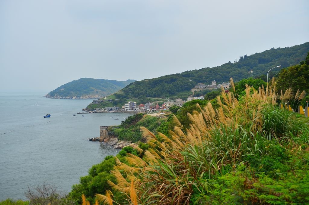 DSC_6627.jpg