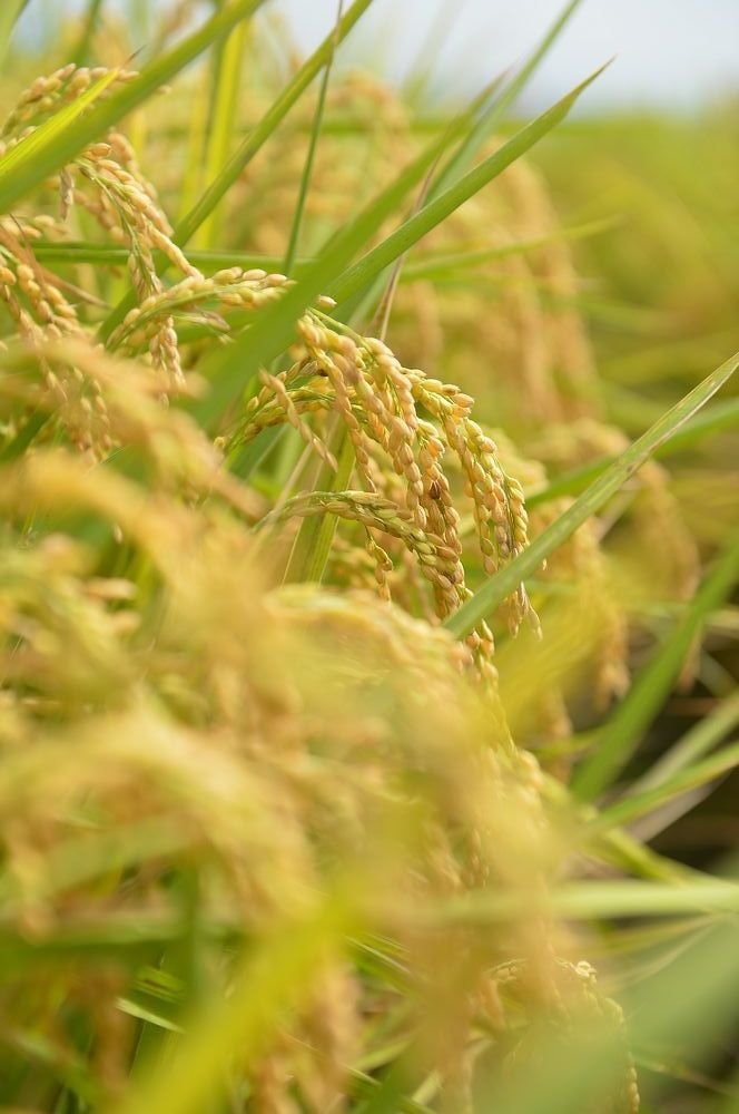 150a0d64170cf4.jpg