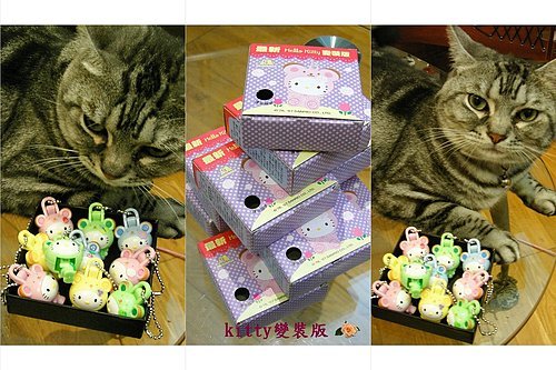 kitty變裝版.jpg