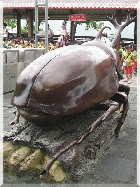獨角仙7.jpg