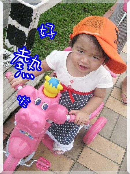 獨角仙3.jpg