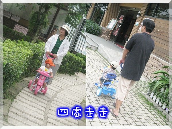 獨角仙11.jpg