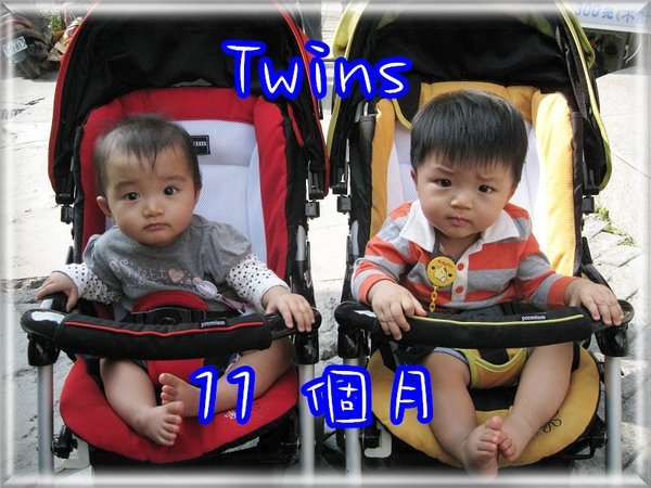 Twins11個月.jpg