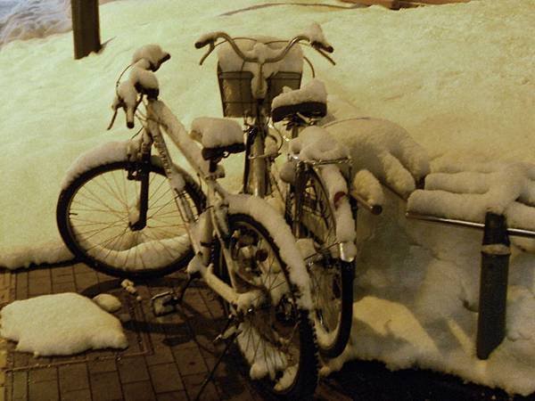 2014.1.20~24 北海道 (79).JPG