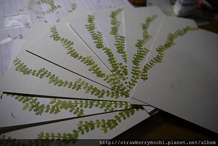 P1050227