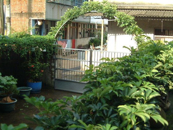 另類的庭園造景.JPG