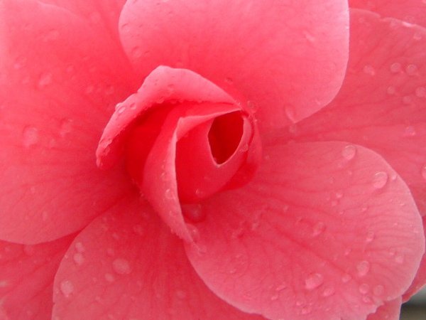 DSCF0193.JPG