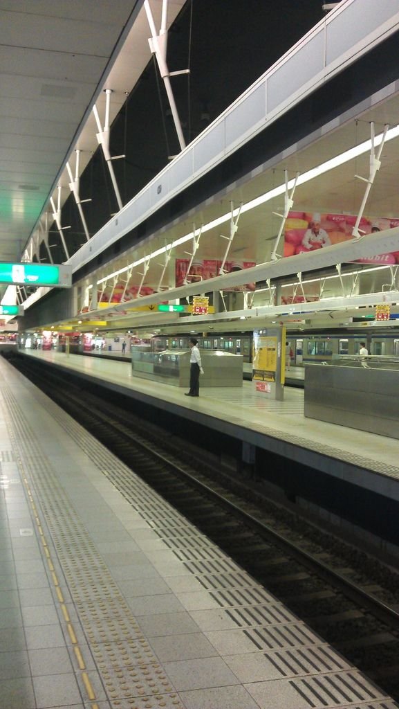 IMAG1245