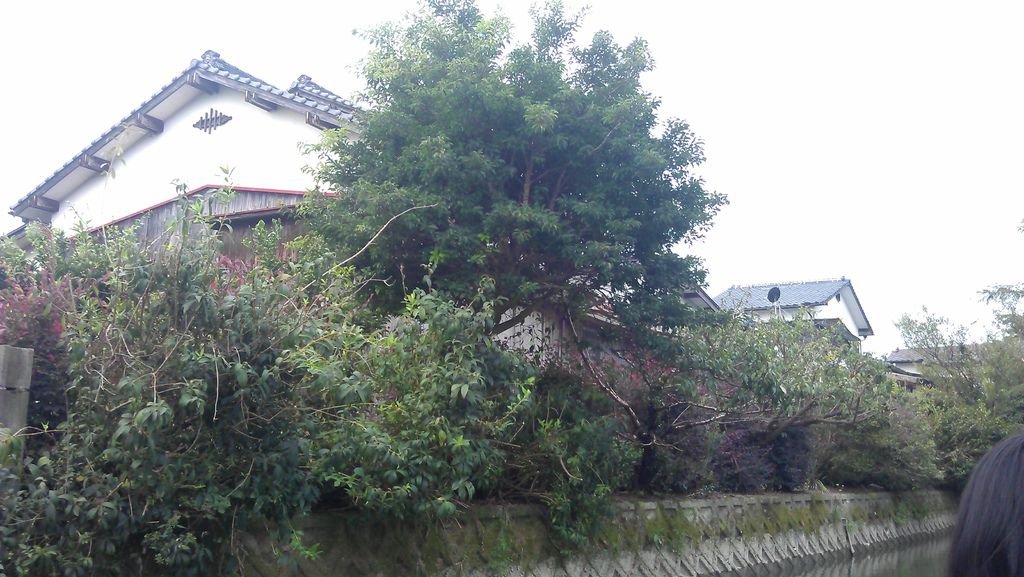 IMAG1298