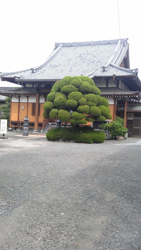 IMAG1345
