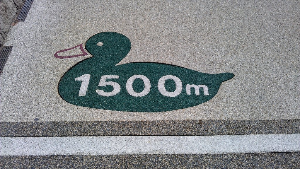 IMAG1802