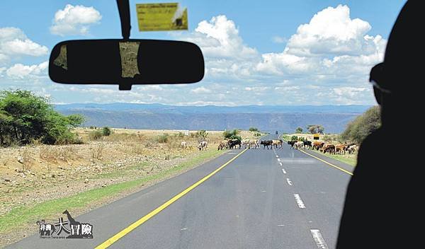 非洲大冒險-Lake Manyara05