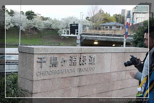 千鳥之淵P11