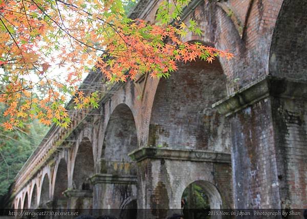 南禪寺10.jpg