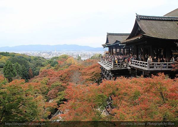 京都07-東山區清水寺.jpg