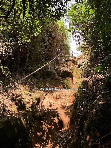 【台北大縱走2】大屯山連峰縱走_27.jpg