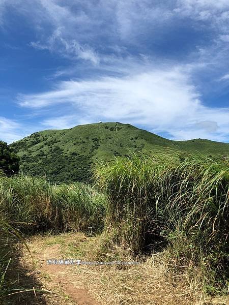 【台北大縱走2】大屯山連峰縱走_37.jpg