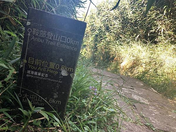 【台北大縱走2】大屯山連峰縱走_51往鞍部下山.jpg