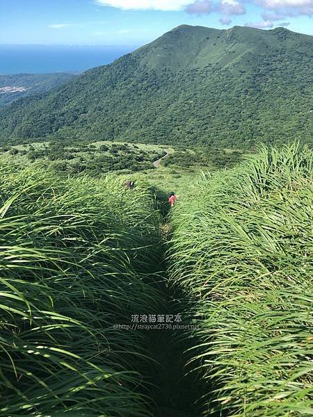 【台北大縱走2】大屯山連峰縱走_53.jpg