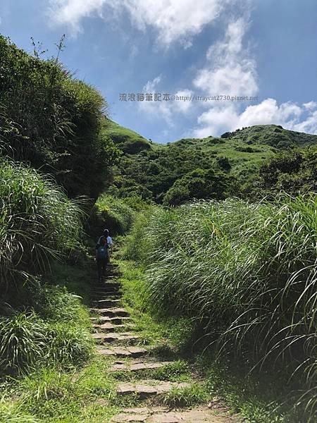 【台北大縱走3】七星山_03冷水坑.jpg