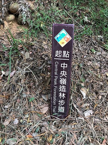 清水岩中央嶺步道03.jpg