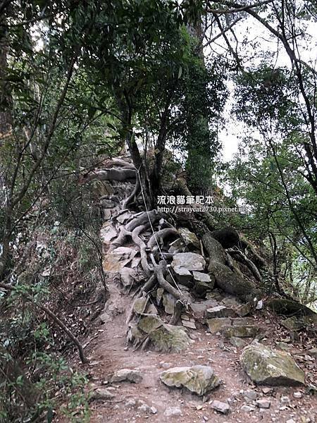 谷關七雄-唐麻丹山06.jpg