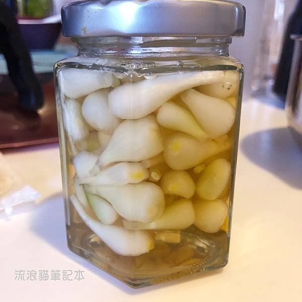 陽台菜園-蕗蕎栽種32.jpg