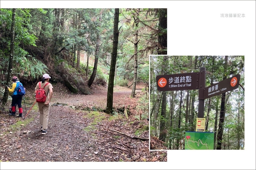 榛山步道38.jpg