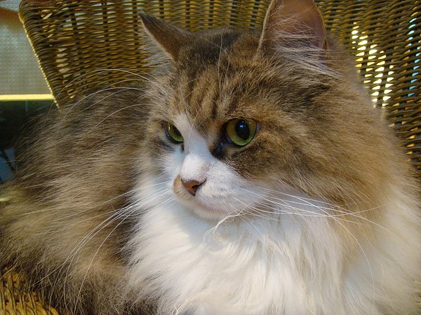DSC03723.JPG