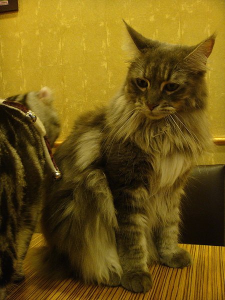 DSC03660.JPG