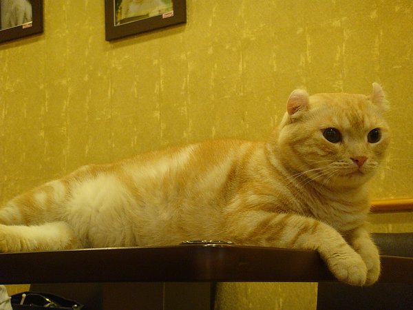 DSC03758.JPG