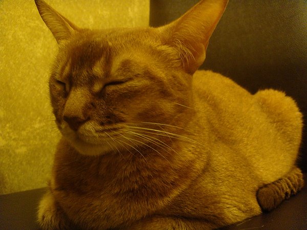 DSC03718.JPG