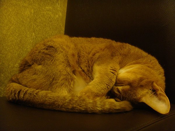 DSC03740.JPG