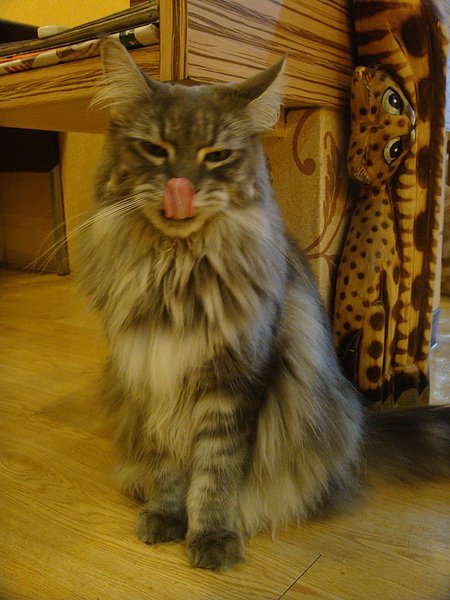 DSC03747.JPG