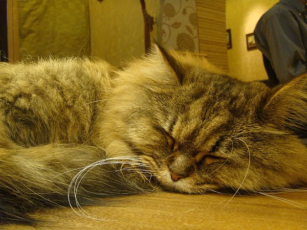 DSC03743.JPG