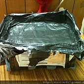 IMG_1490