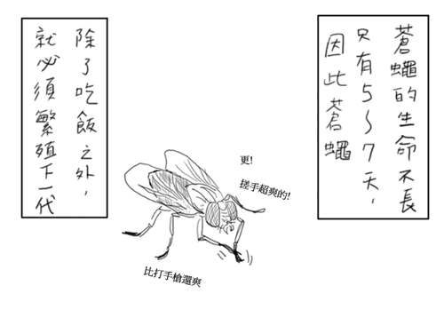 image002.gif