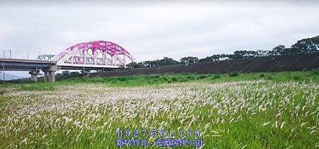 35興隆大橋