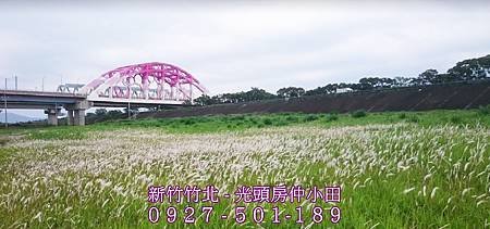 41興隆大橋.jpg