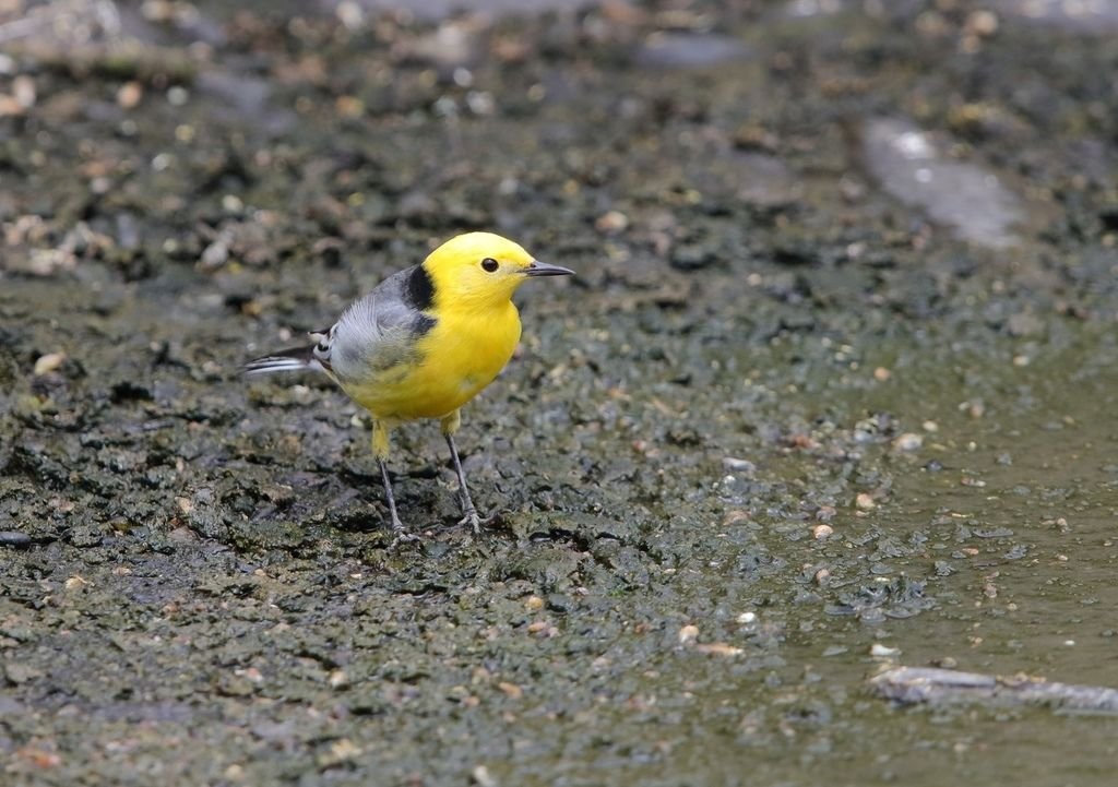 028A7814.jpg